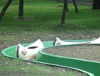 Imagine atasata: parcul copiilor.jpg